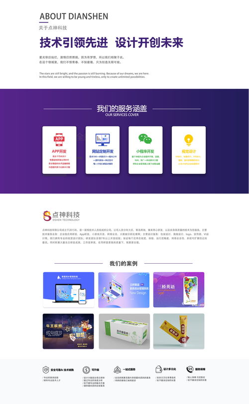 點神科技 大慶程序開發(fā)公司的企業(yè)網(wǎng)站建設(shè)與技術(shù)轉(zhuǎn)讓服務(wù)