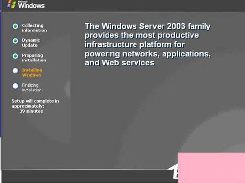 戴爾服務(wù)器安裝Windows Server 2003系統(tǒng)全攻略 從硬件準(zhǔn)備到服務(wù)配置